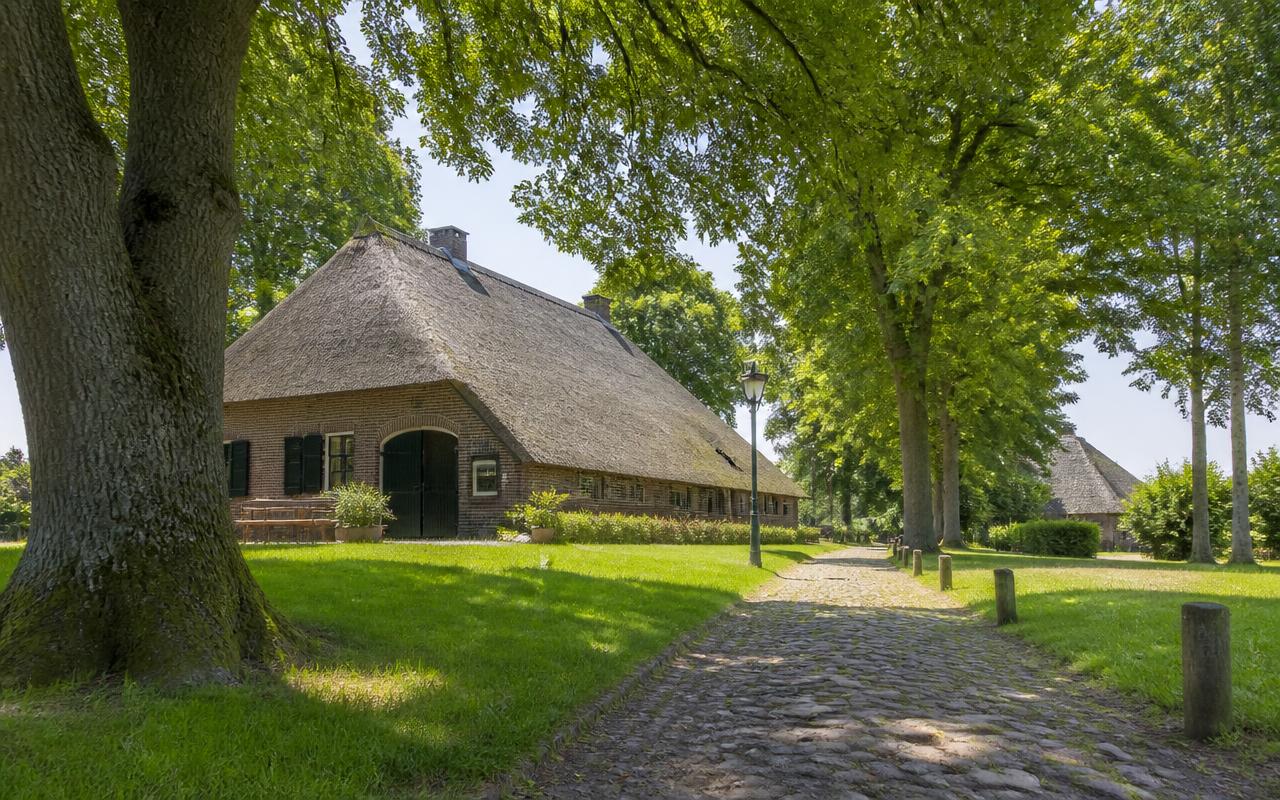 Groene brink met eeuwenoude eiken en een rietgedekte Drentse boerderij aan een keienpad in Aalden.