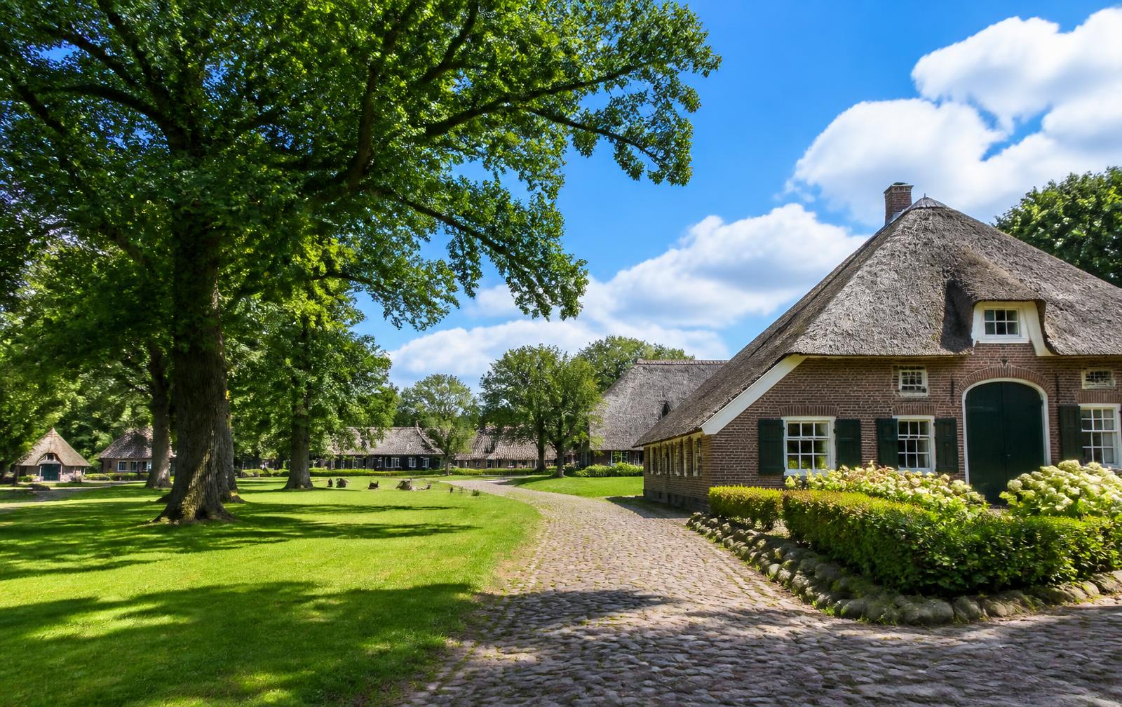 Groene brink met eeuwenoude eiken en een rietgedekte Drentse boerderij aan een keienpad in Aalden.