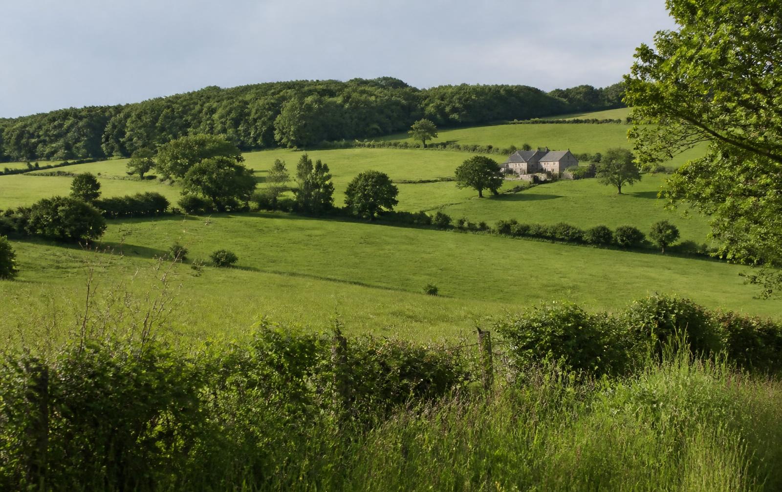 Golvend Condroz-landschap bij Gesves met groene weiden, houtkanten en een stenen hoeve in de verte.