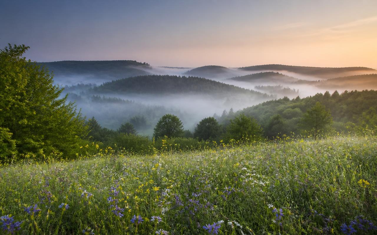 Bosrijke heuvels en een bloemenweide in de Belgische Ardennen bij Neufchâteau in de ochtendmist.