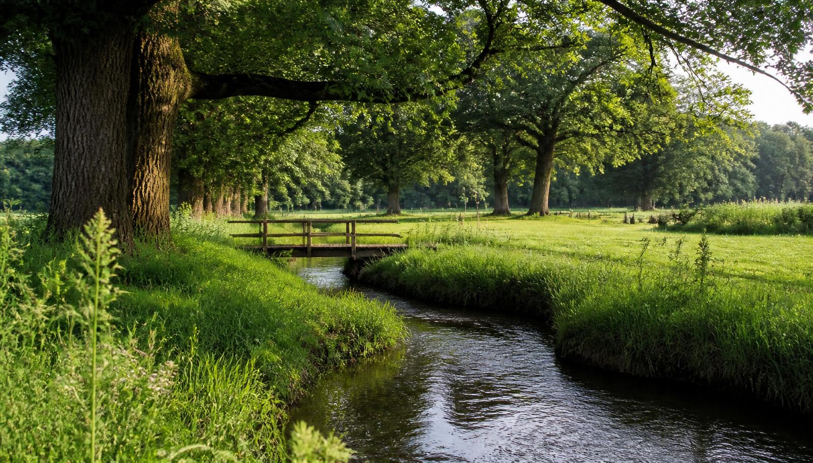 Kleine beek die door groene weilanden slingert tussen oude eiken met een houten bruggetje.