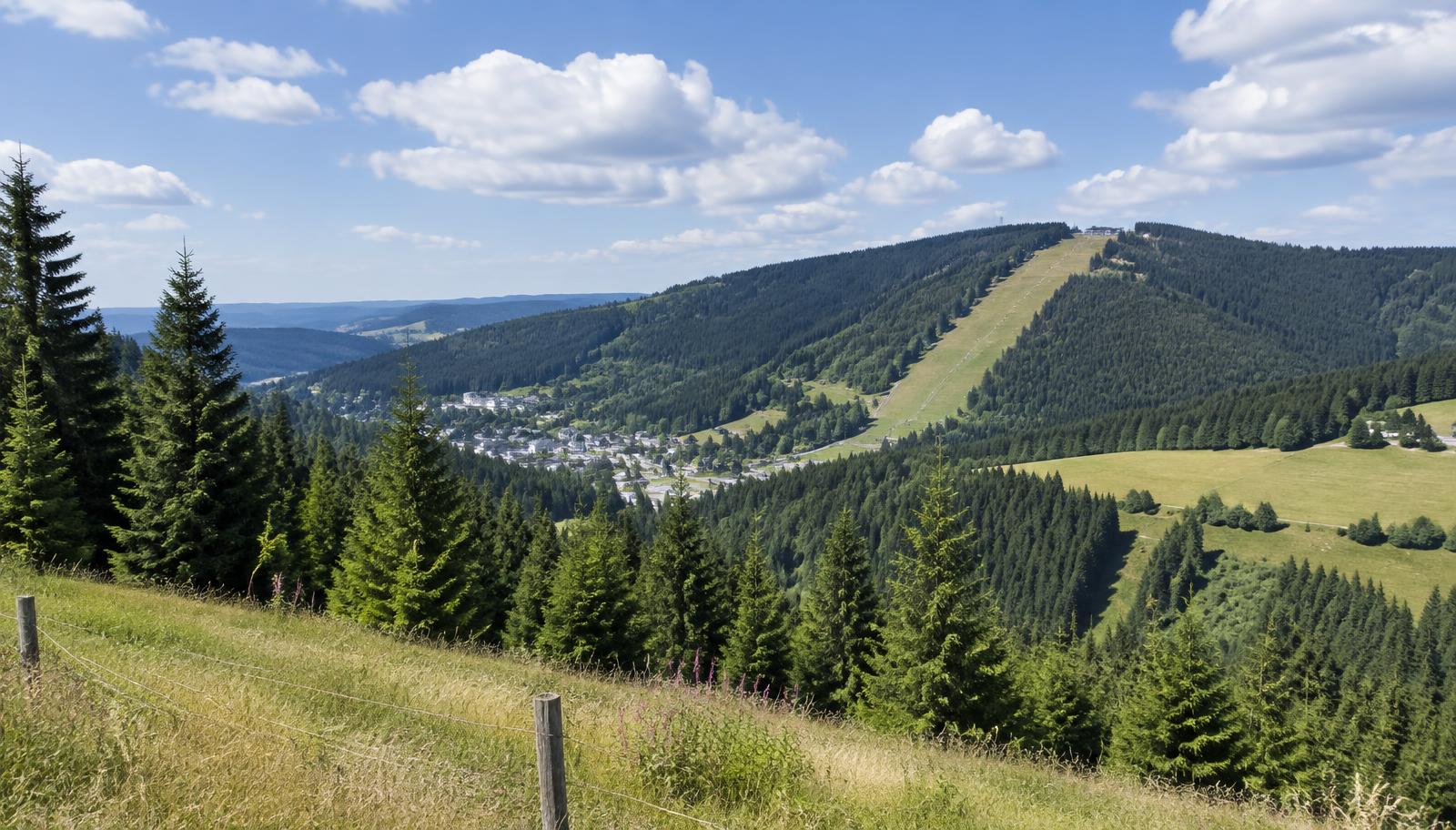 Glooiende beboste heuvels van het Sauerland in de zomer, met weiden, een dorp in het dal en een skipiste op de helling.