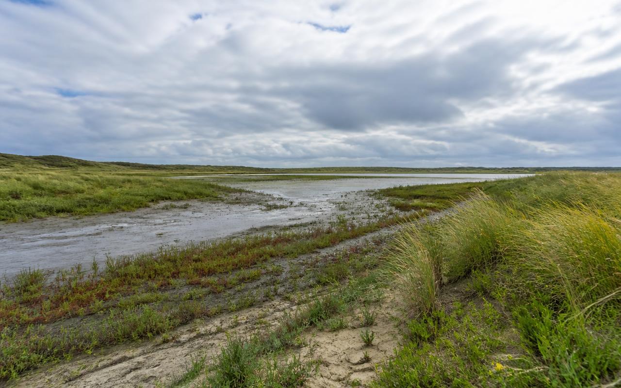 Zilte duinvallei met slikplaten, kwelderplanten en helmgras op Texel onder een brede bewolkte lucht.