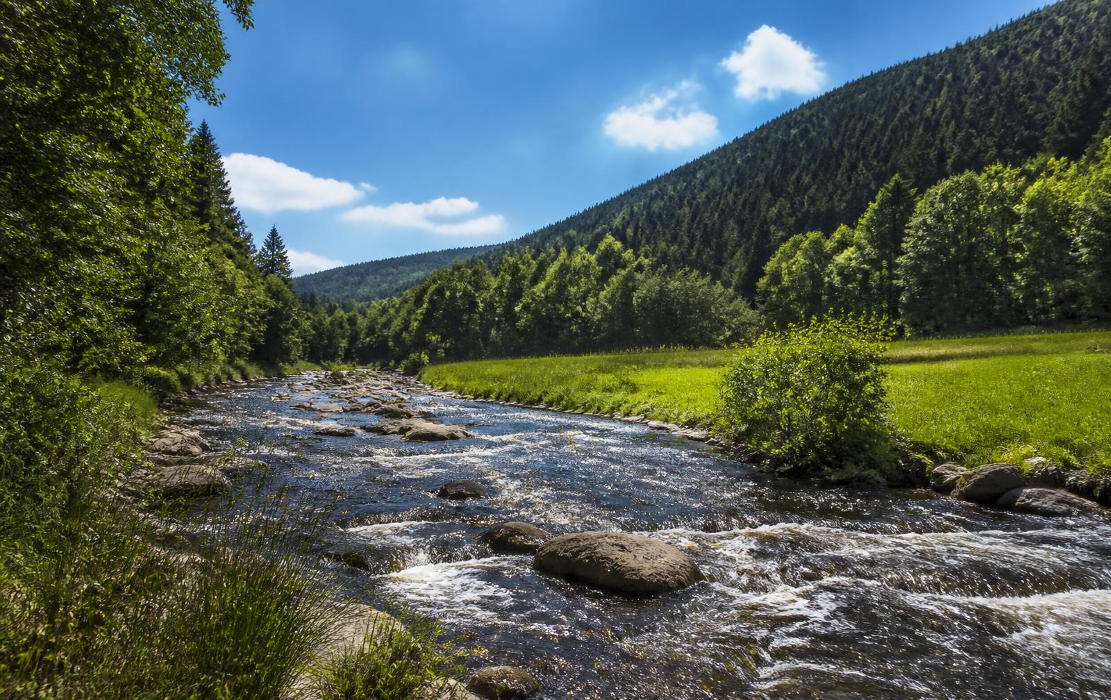 De Amblève stroomt over rotsen door een groene vallei met naaldbossen bij Trois-Ponts in de Hoge Ardennen.